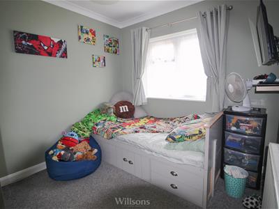 Picture 15